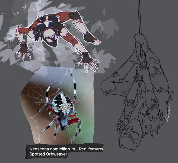 Spiderman OC